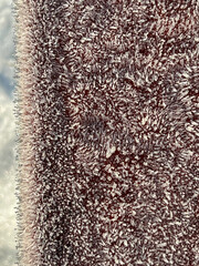 Frost on the back of a brown park bench as a background