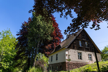 Obraz premium Mountain house with colorful trees with red and green leaves in the Sudeten Mountains Poland.