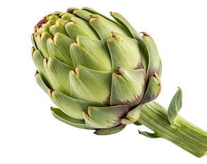 Obraz premium A single artichoke with green leaves and a thick stem on a plain white surface in a close up shot