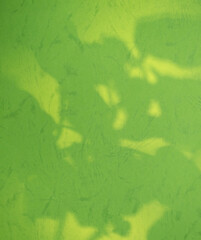 Background green abstract shadow leaf overlay on cement wall floor beige mockup product cosmetic summer tropical nature presentation frame template eco backdrop environment