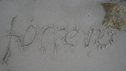 The word 