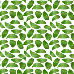 Seamless pattern jaboticaba leaves. Perfect for food packaging, healthy eating designs, recipe books, botanical projects, and tropical fruit collections