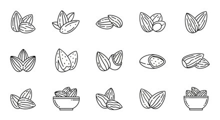 Collection of Line Art Almond Nut Illustrations Vector EPS Set