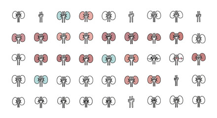 Collection of Kidney Icons Medical Illustrations and Vector Graphics