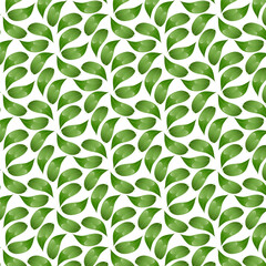 Seamless pattern jaboticaba leaves. Perfect for food packaging, healthy eating designs, recipe books, botanical projects, and tropical fruit collections