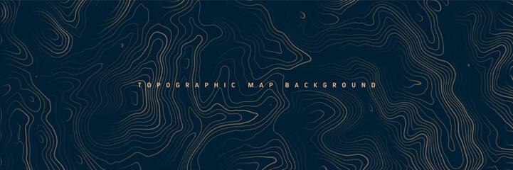 Colorful topographic map with contour lines. Geographic terrain grid, relief height elevation. Ground path pattern. Travel and navigation, cartography design element. Vector illustration