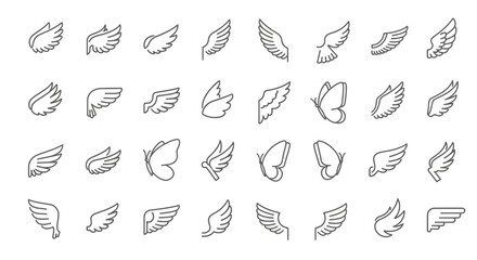 Extensive Collection of Wing Illustrations Vector Line Art Graphics
