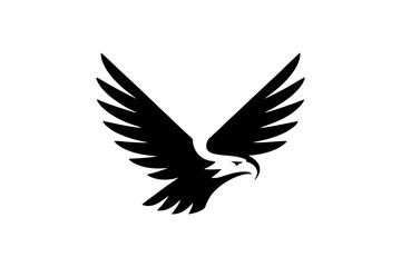 Obraz premium Eagle vector graphic flying bird animal silhouette