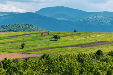 Fototapeta premium Rolling farmlands illuminated by streaks of sunlight breaking through clouds. Ideal for agriculture, seasons, or eco-themed designs