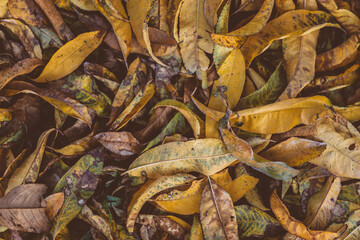 Textures of Mountain Landscapes