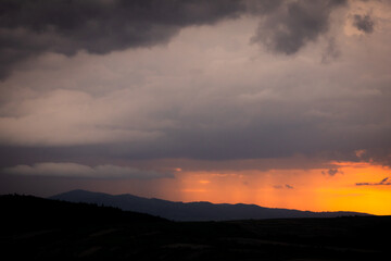 Vibrant orange sunset behind a silhouette of leafy trees under heavy clouds, capturing the beauty and contrast of nature in a summer evening storm.