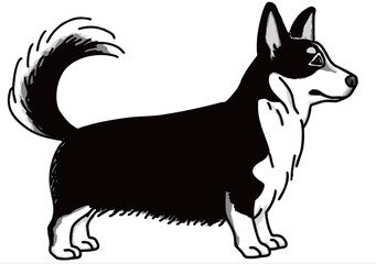 コーギー　白黒　犬のイラスト　welsh corgi