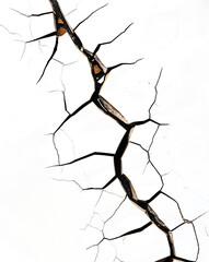 Fototapeta premium Grunge Cracked Wall Texture - Seamless White & Transparent Background