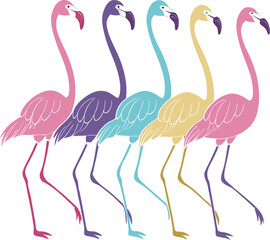 Vibrant Flamingo Illustration Set Stylized Colorful Birds on White Background