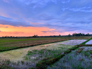 Obraz premium sunset i the countryside