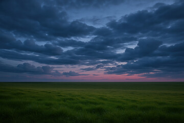 Obraz premium Green grass field under cloudy sky.