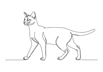 Elegant Abyssinian Cat Portrait, A Minimalist Continuous Line Dr