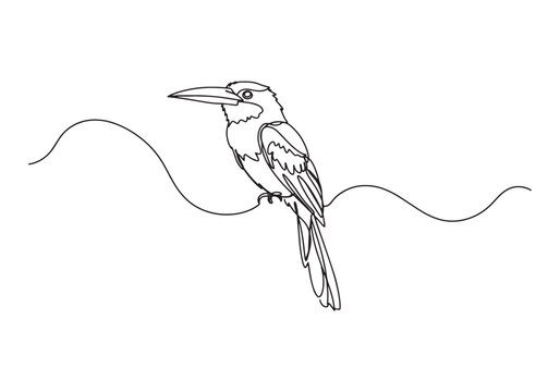 Elegant Jacamar Bird in Continuous Line Art Style, A Minimalist