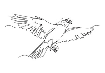 Obraz premium Continuous Line Drawing of a Falcon in Flight, Minimalist Illust