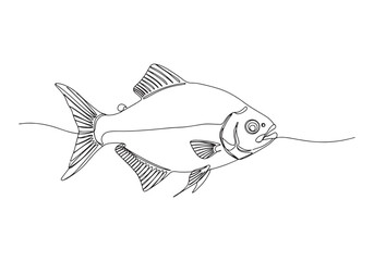 Elegant Silver Dollar Fish, A Continuous Line Art Illustration i