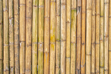 vertical natural yellow bamboo wall background