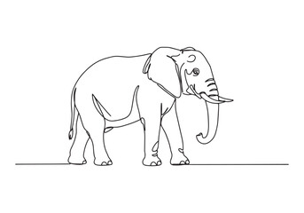 Obraz premium Elegant minimalist elephant illustration in continuous line draw