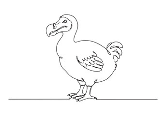 Fototapeta premium Elegant Dodo Illustration, A Single Continuous Line Drawing of a