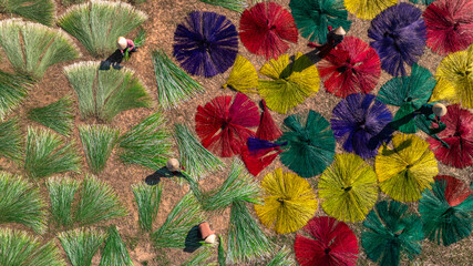 Drying sedge in the sedge growing area, raw material for weaving mats, the sedge has been dyed with...