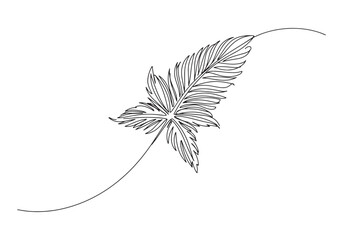 Feather star marine animal continuous line drawing vintage illus