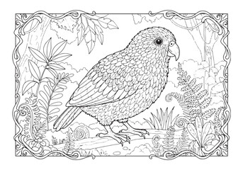 Detailed Kakapo Bird in Natural Habitat Black and White Illustra