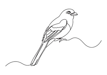 Elegant trogon bird portrayed in continuous line drawing style,