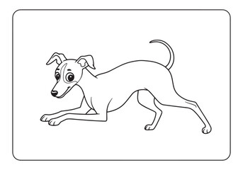 Fototapeta premium Adorable Italian Greyhound puppy coloring page for kids and adul