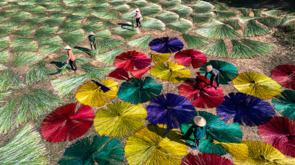 Drying sedge in the sedge growing area, raw material for weaving mats, the sedge has been dyed with...