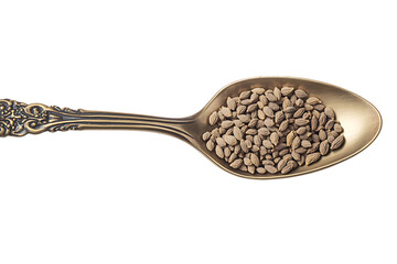 Ornate Spoon Holding Brown Seeds Isolated on White Background Botanical Gardening Harvest