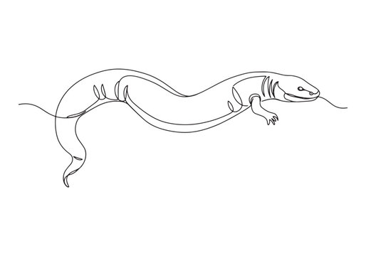Elegant amphibian, A continuous line drawing of a caecilian crea