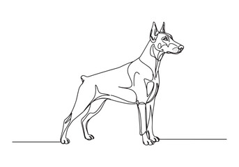 Fototapeta premium Elegant Doberman Pinscher Portrait Created with a Single Continu