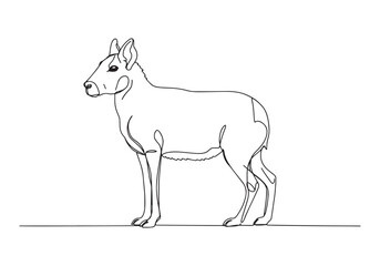 Obraz premium Elegant patagonian mara rendered in a minimalist continuous line
