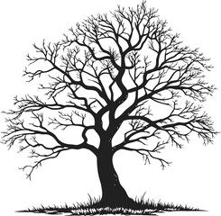 Obraz premium Silhouette of a Bare Tree with Grass