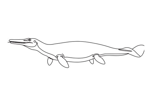 Temnodontosaurus continuous line drawing illustration, minimal a