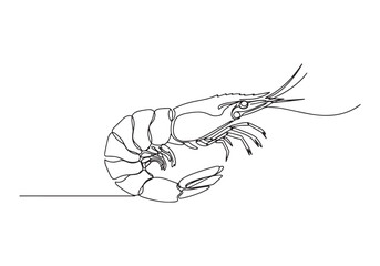 Elegant single line drawing of a shrimp in minimalist black and