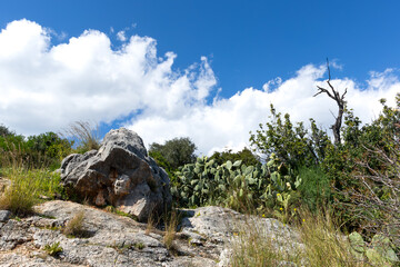 rocks in the mountains and cactuses
