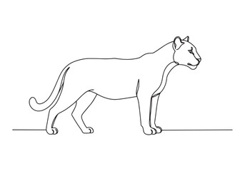 Fototapeta premium Elegant continuous line drawing of a puma, minimalistic and mode