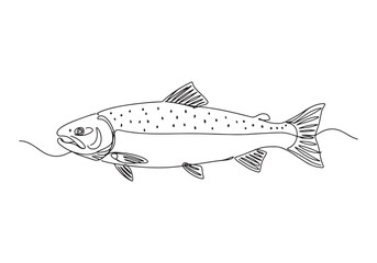 Elegant salmon illustration in continuous line art style, perfec