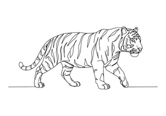 Obraz premium Elegant Continuous Line Drawing of a Walking Tiger, Black and Wh