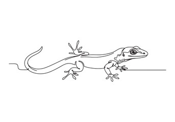 Obraz premium Elegant Anole Lizard in a Continuous Line Drawing - Minimalist D