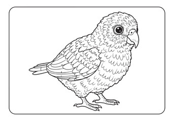 Detailed kakapo parrot outline for coloring book page illustrati