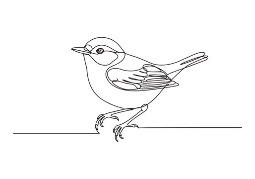 Elegant continuous line drawing of a warbler bird minimalist art