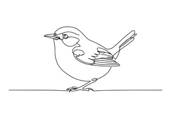 Elegant simplicity, a single line drawing of a wren bird perched