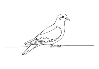 Elegant passenger pigeon continuous line art black and white des