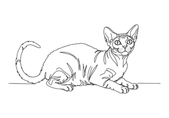 Elegant Selkirk Rex cat continuous line drawing in minimalist st